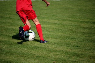 意甲青训体系中融入情绪调节训练的效果评估，意甲青训体系中融入情绪调节训练的效果评估